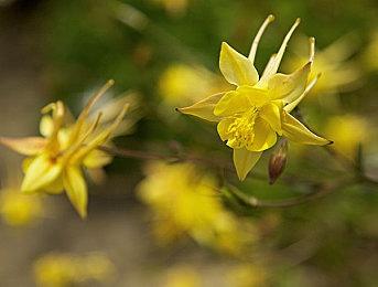 PS2经典游戏《星球大战：赏金猎人》现已发布PC移植版